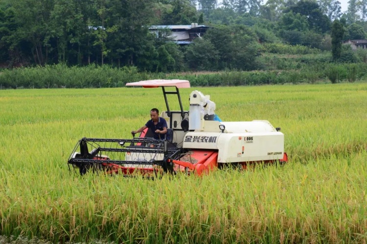 錦融小貸：踐行惠農(nóng)初心 助農(nóng)貼息申報(bào)···